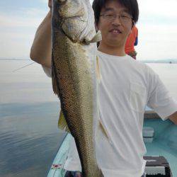 アマテラス 釣果