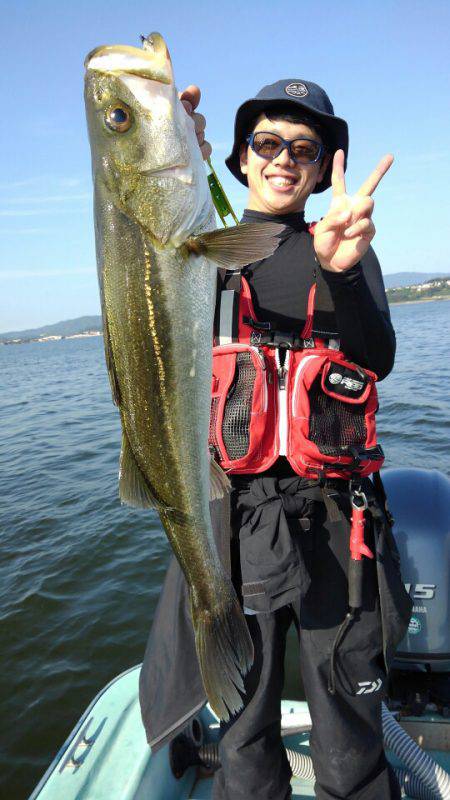 アマテラス 釣果