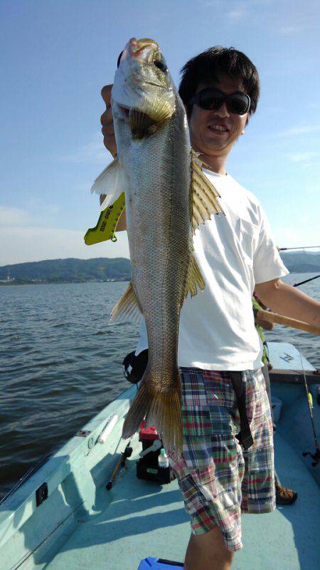 アマテラス 釣果