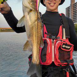 アマテラス 釣果