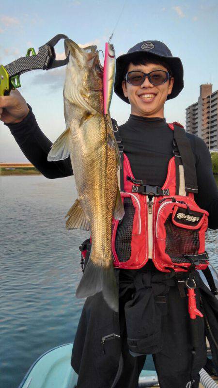 アマテラス 釣果