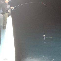 あみや渡船 JIGBOY 釣果