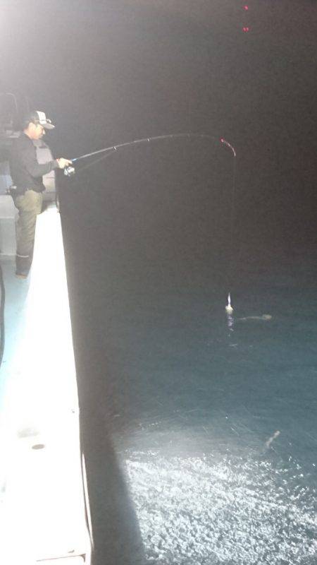 あみや渡船 JIGBOY 釣果