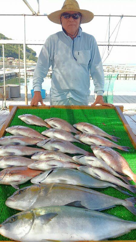 海の釣堀 海恵 釣果