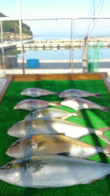 海の釣堀 海恵 釣果