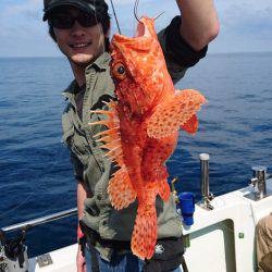 ARCADIAⅡ (アルカディアⅡ) 釣果