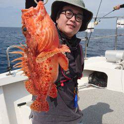 ARCADIAⅡ (アルカディアⅡ) 釣果