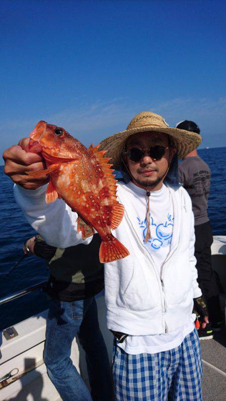 ARCADIAⅡ (アルカディアⅡ) 釣果