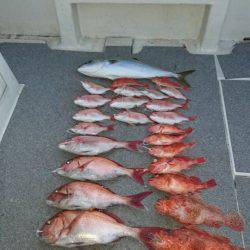 ARCADIAⅡ (アルカディアⅡ) 釣果