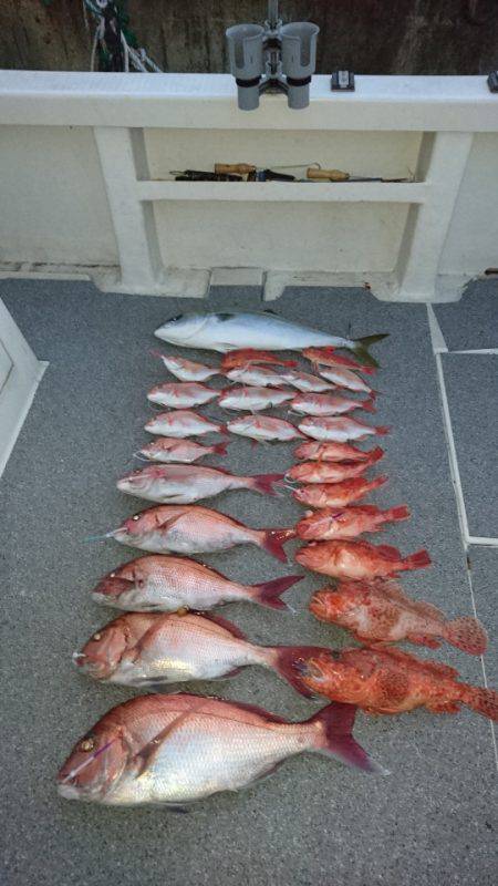 ARCADIAⅡ (アルカディアⅡ) 釣果