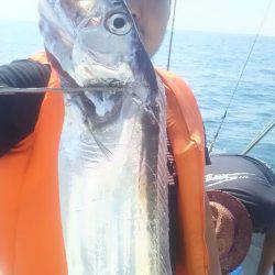 サンマリン 釣果