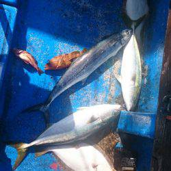 海龍丸（石川） 釣果