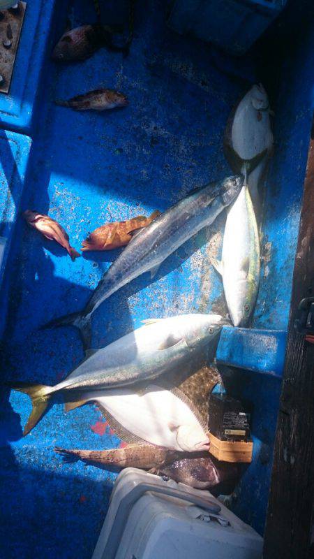 海龍丸（石川） 釣果