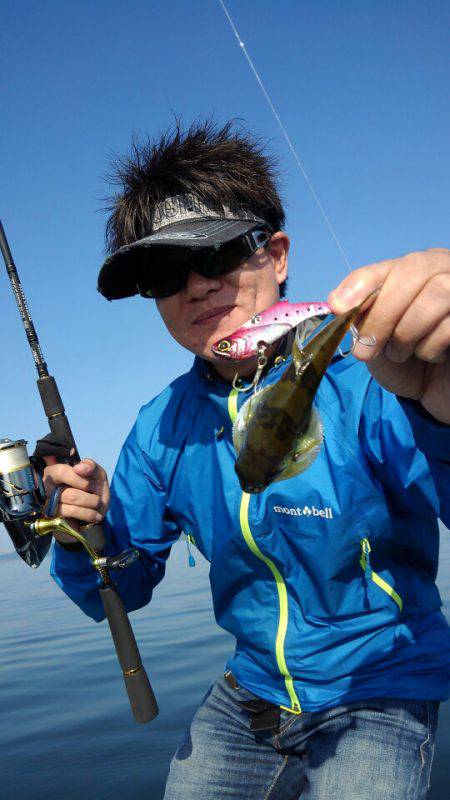 アマテラス 釣果