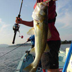 アマテラス 釣果