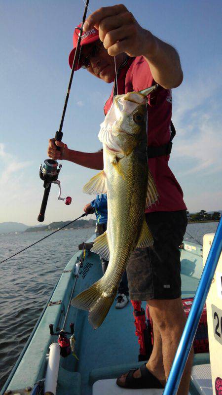 アマテラス 釣果