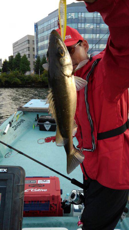 アマテラス 釣果