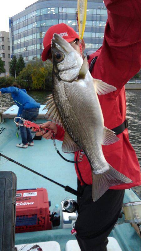 アマテラス 釣果