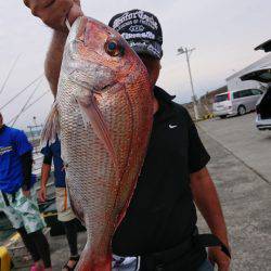 だて丸 釣果
