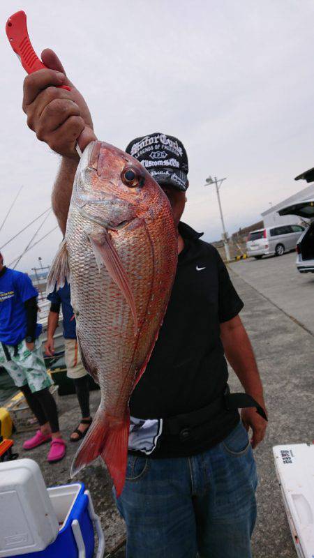 だて丸 釣果