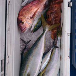 海龍丸（石川） 釣果