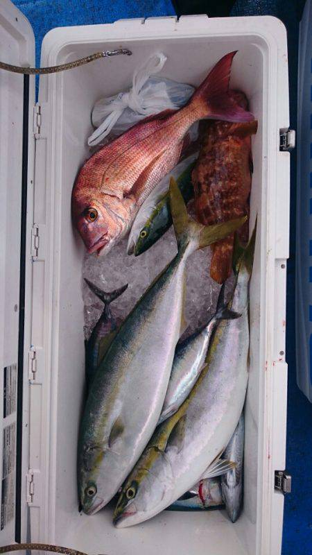 海龍丸（石川） 釣果
