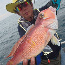 ARCADIAⅡ (アルカディアⅡ) 釣果