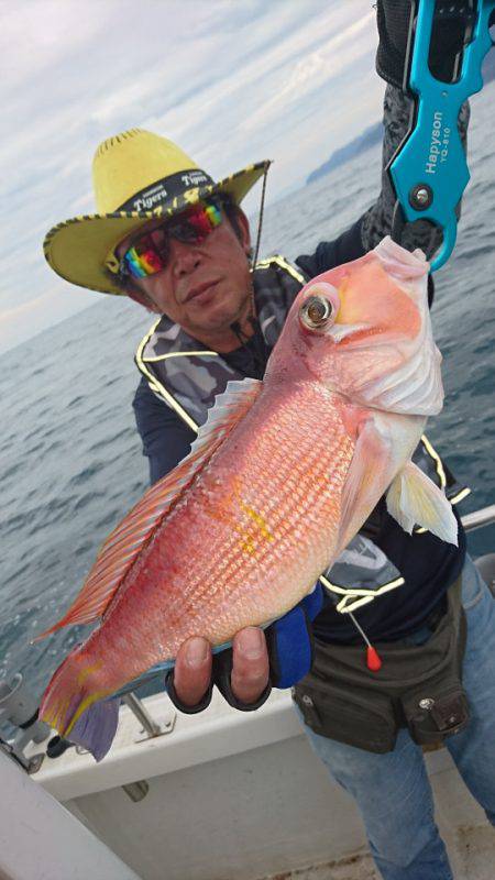 ARCADIAⅡ （アルカディアⅡ） 釣果…