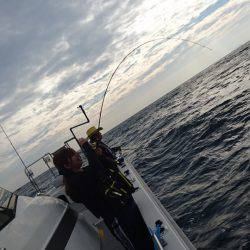 ARCADIAⅡ (アルカディアⅡ) 釣果