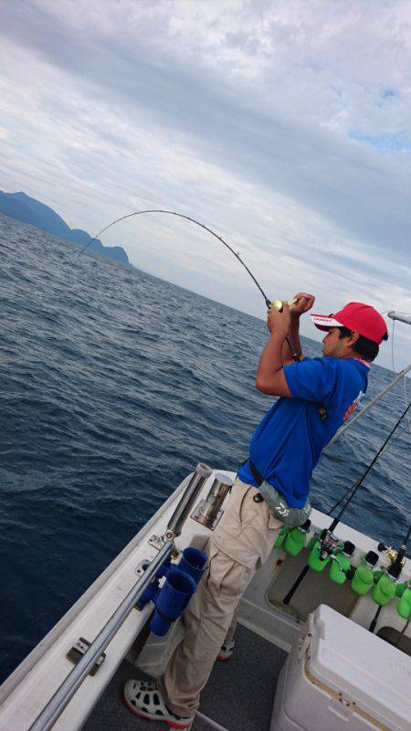 ARCADIAⅡ (アルカディアⅡ) 釣果