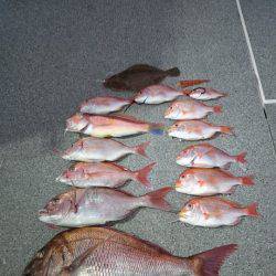 ARCADIAⅡ (アルカディアⅡ) 釣果