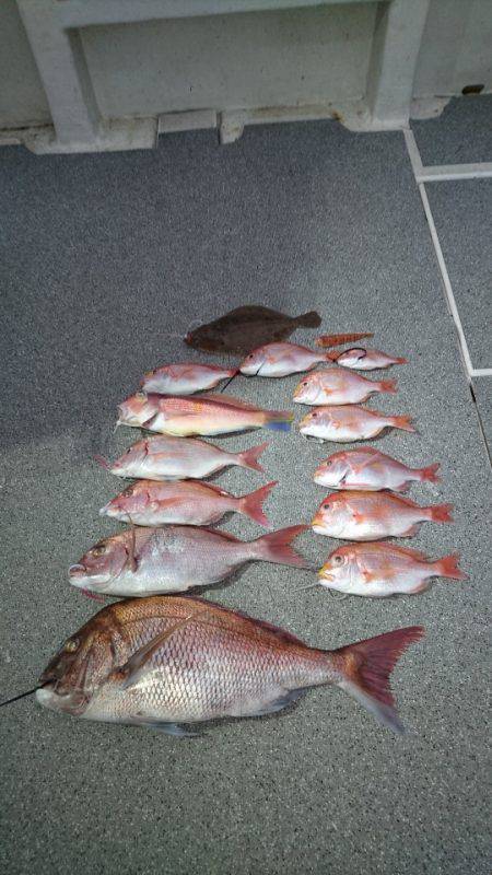 ARCADIAⅡ (アルカディアⅡ) 釣果