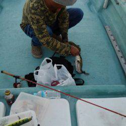 アマテラス 釣果