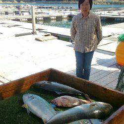 海の釣堀 海恵 釣果