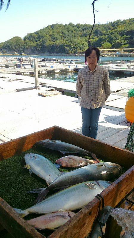 海の釣堀 海恵 釣果