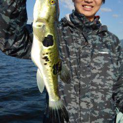 アマテラス 釣果