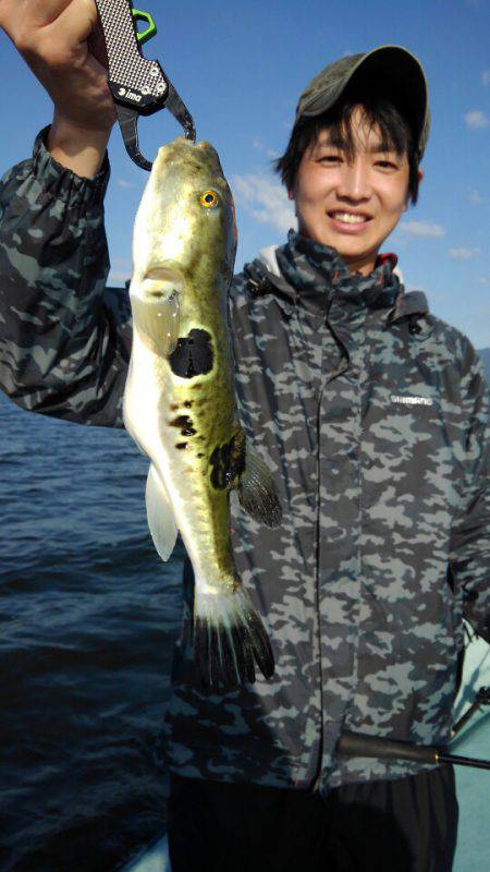 アマテラス 釣果