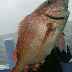 新幸丸 釣果