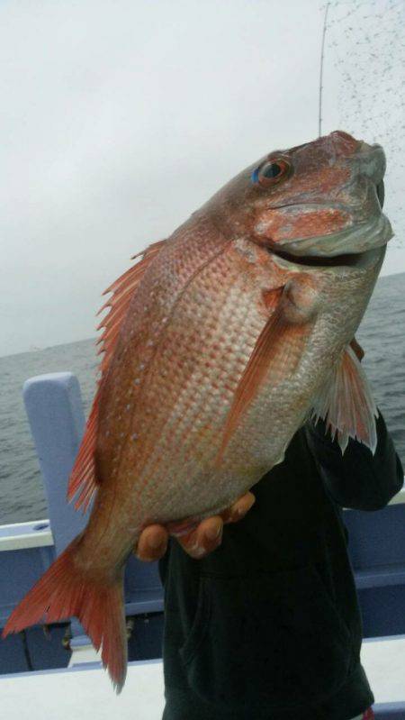 新幸丸 釣果