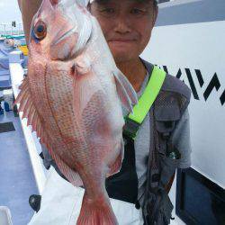新幸丸 釣果