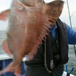 新幸丸 釣果