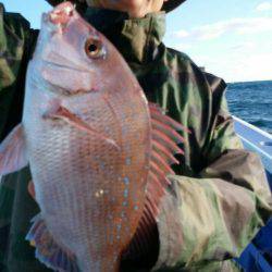 新幸丸 釣果