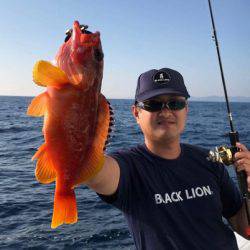 South Current 釣果