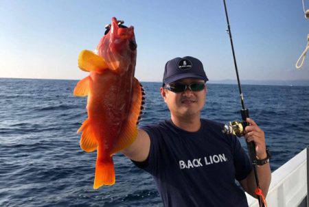 South Current 釣果