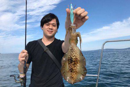 South Current 釣果