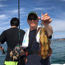 South Current 釣果