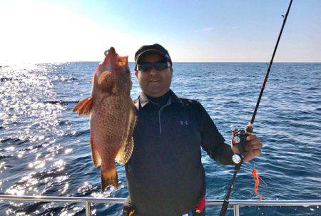 South Current 釣果