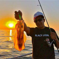 South Current 釣果