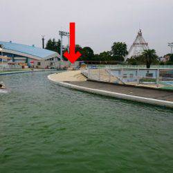 としまえんフィッシングエリア 釣果