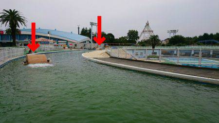 としまえんフィッシングエリア 釣果